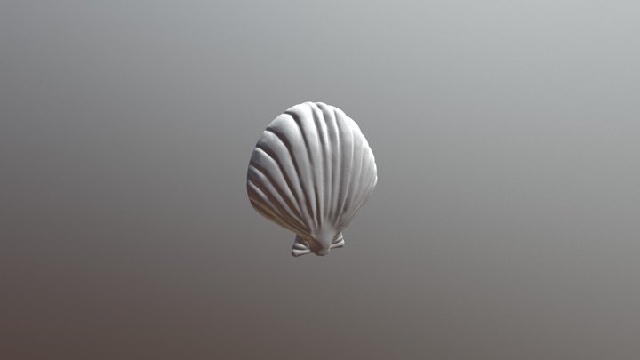 Day 25 - Shell 3D Model
