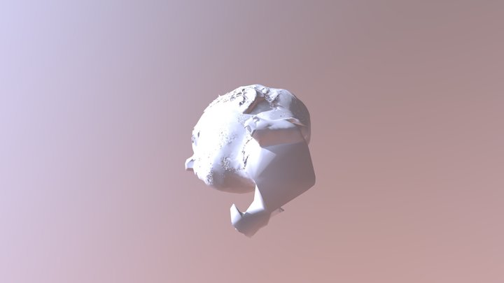Bust_Refined 3D Model