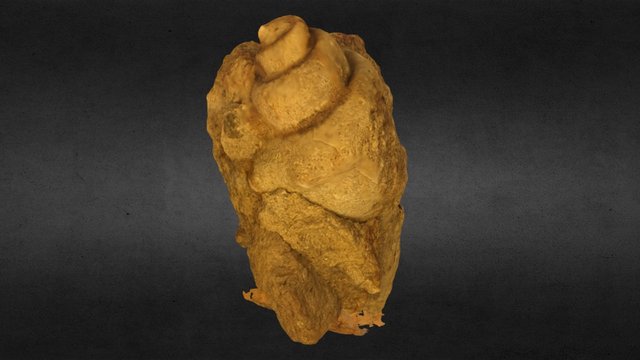 Gastropod Fossil 3D Model