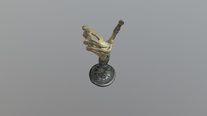 Skeleton's hand 3D Model