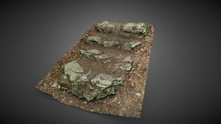 Stone steps in mountains / forest 3D Model