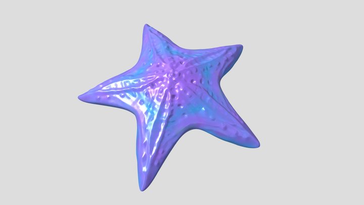 Seastsar 3D Model