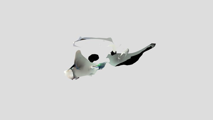 Polycam capture 3D Model