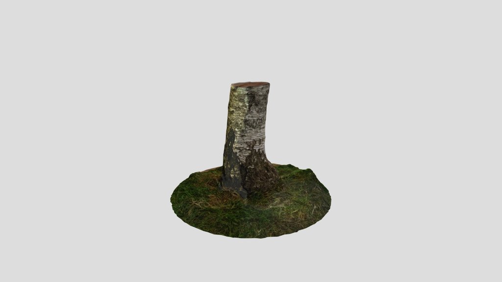 Tree Stump