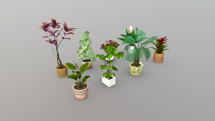 Lowpoly Indoor Potted Plant 3D Model