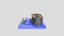 Loading 3D Model