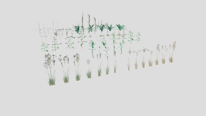 Meadow Plant Pack 3D Model