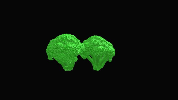 Broccoli scanned by Thunk3D UNI – Modelo 3D gratuito STL