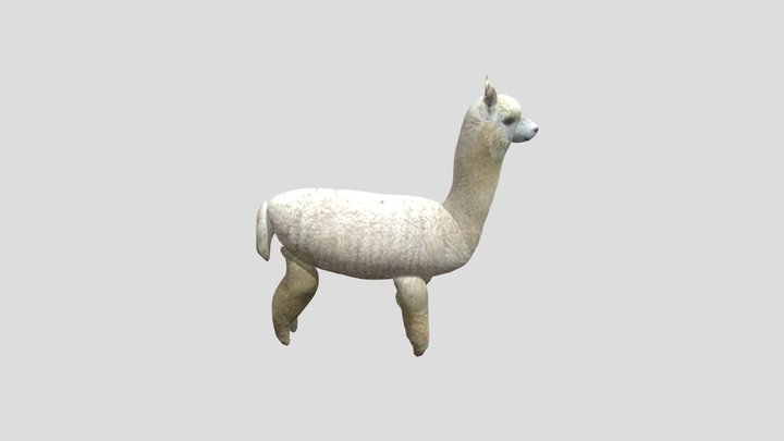 32318 3D Model