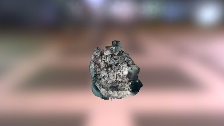 Legs 3D Model