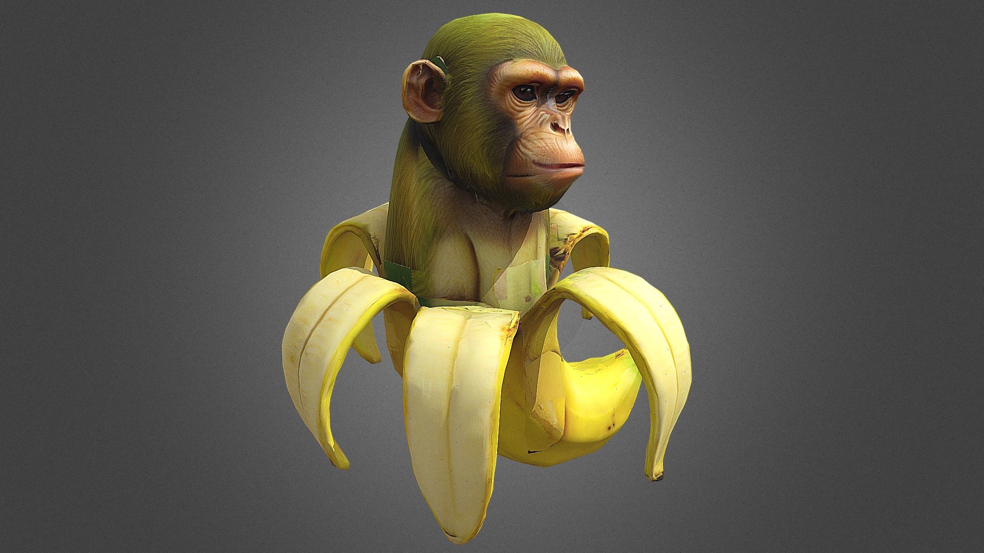 CHIMPANZINI BANANINI - Download Free 3D model by Aizen (@Aizenx ...