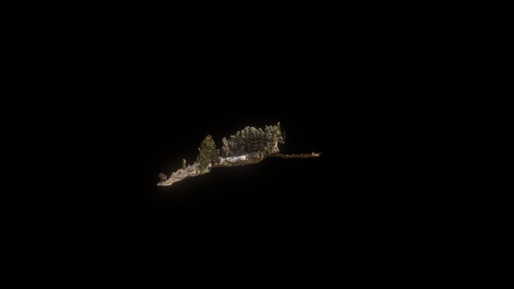 Umnutzung Waldstück 3D Model