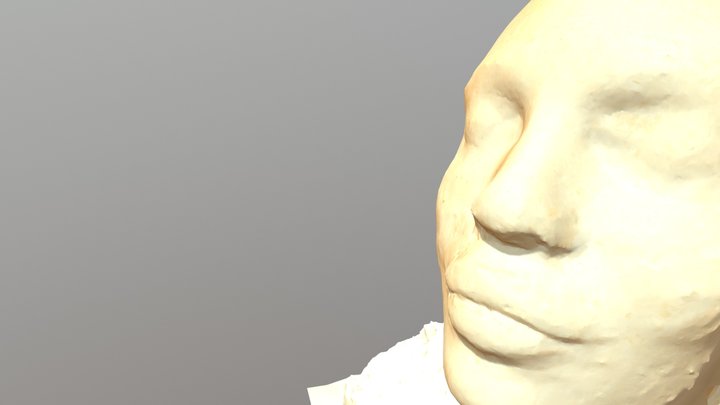 Visage 3D models - Sketchfab