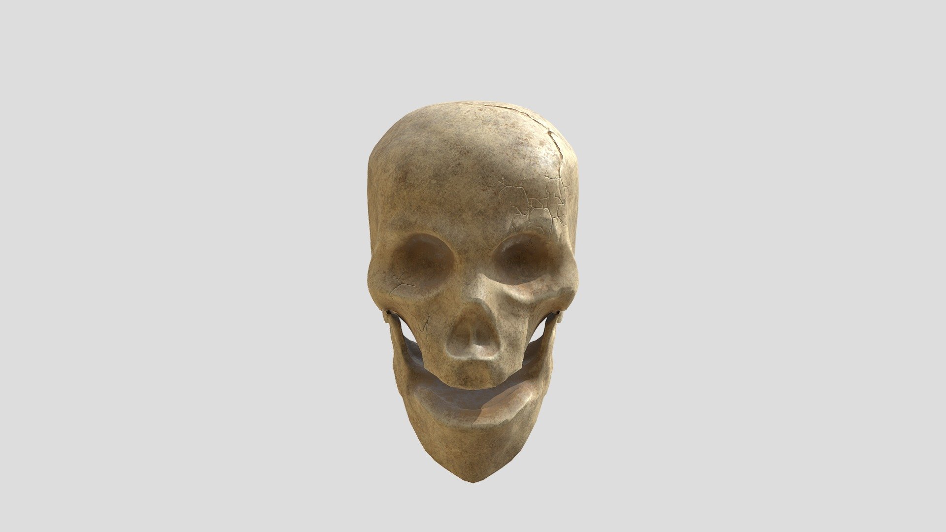 Skull - 3D model by ArminaBegum [c9a5650] - Sketchfab