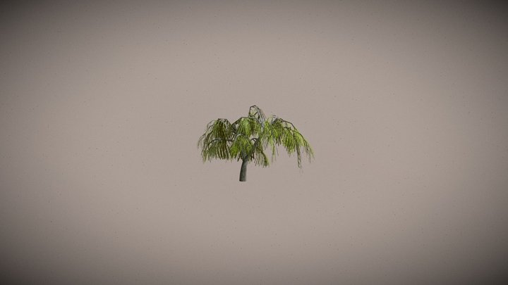 Willow Tree 3D Model