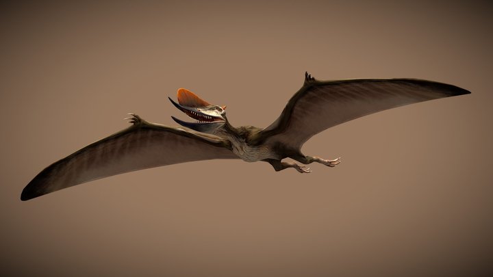 JW: PO Dsungaripterus – Modelo 3D gratuito STL