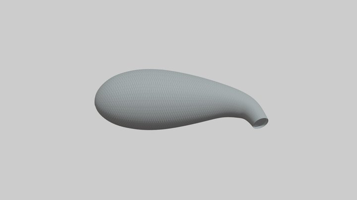 Amoeba 3D models - Sketchfab