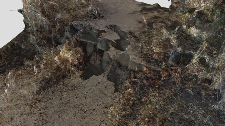 Restos de Pirca en Quilpué 3D Model