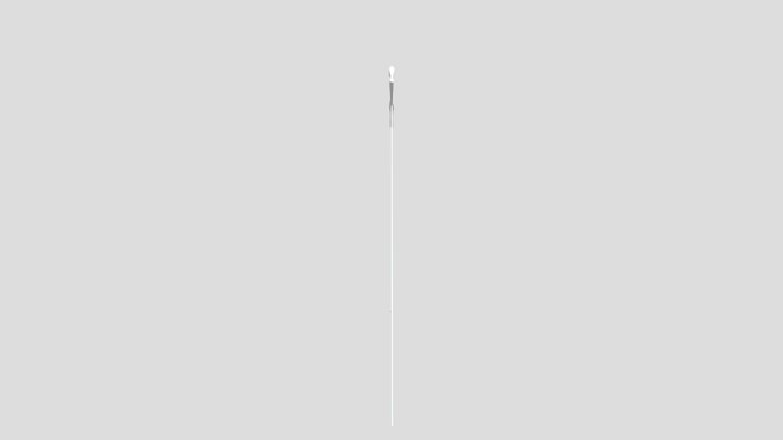 Rapier Sword