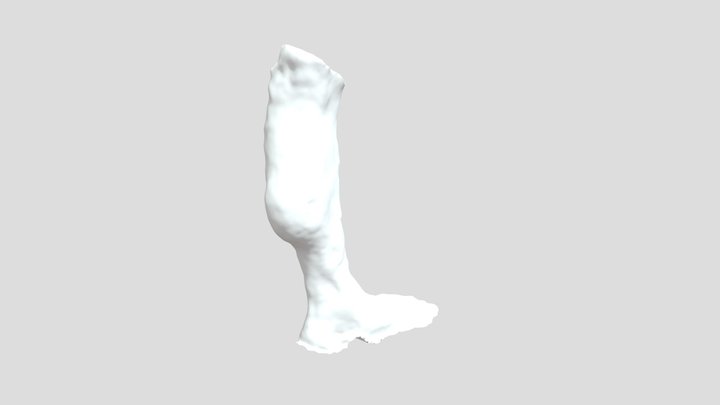 Leg 1 (all Pics)A 3D Model