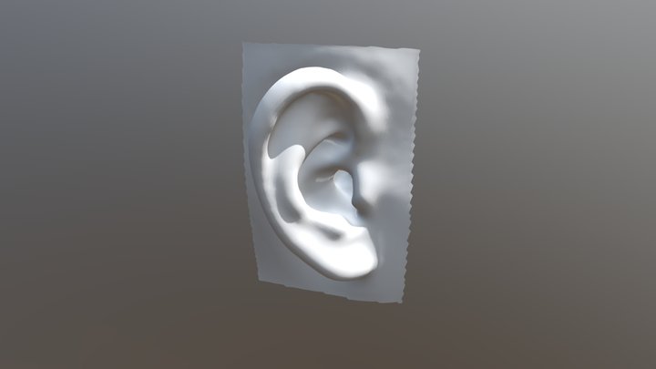 3D Ear SSM 3D Model