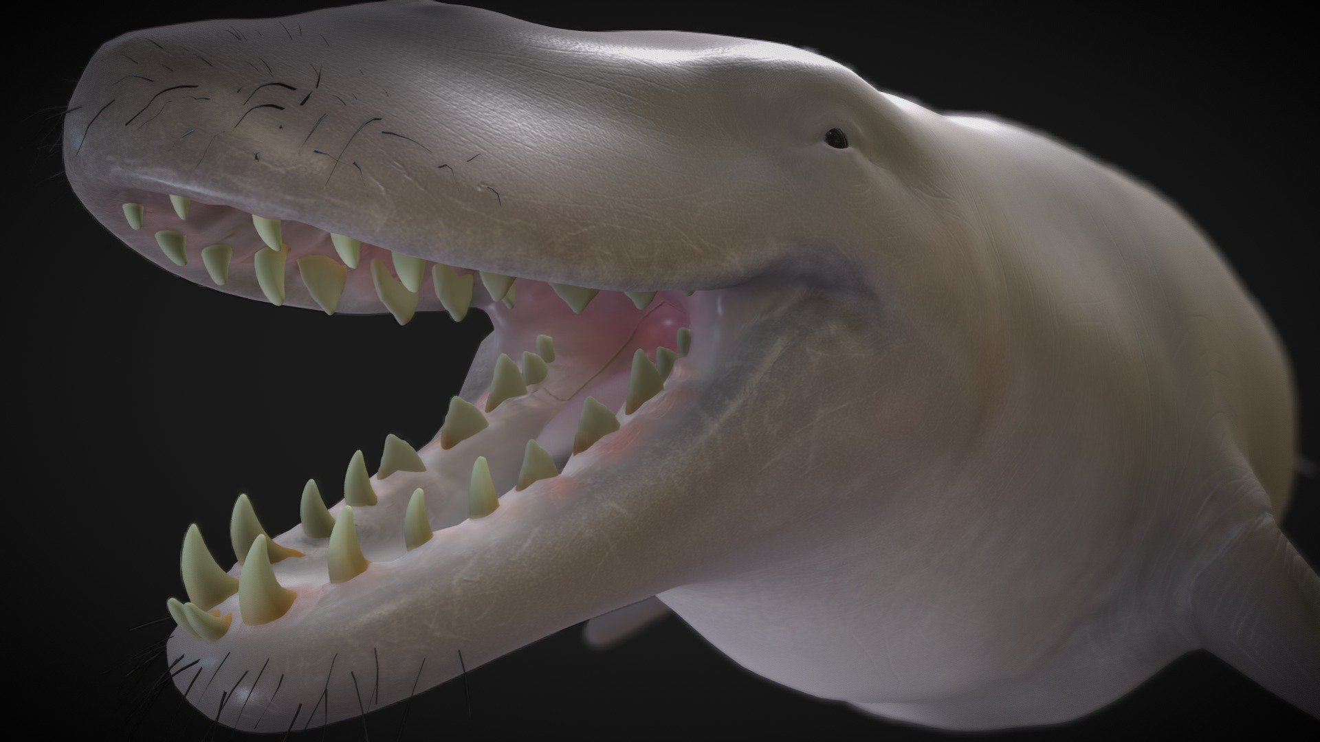 basilosaurus Buy Royalty Free 3D model by robertfabiani [c9b44cb