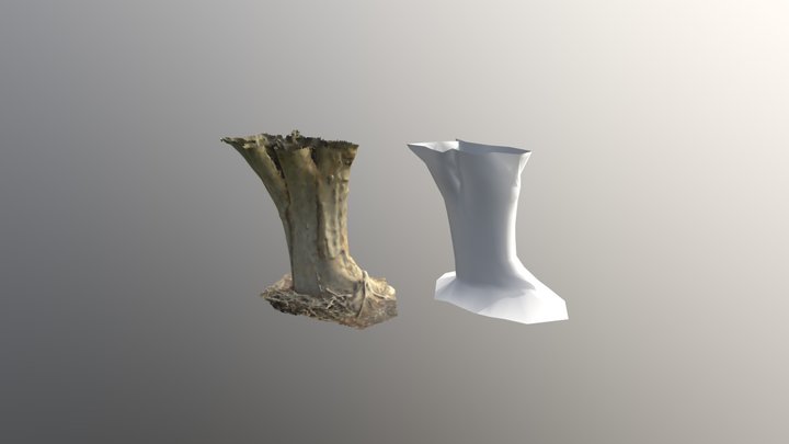 Treenor1 3D Model