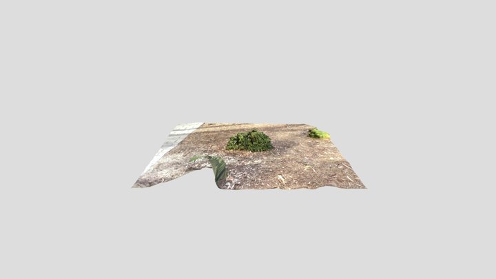 Plant 3D Model