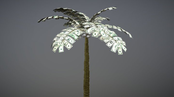 Money Palm Tree 3D Model
