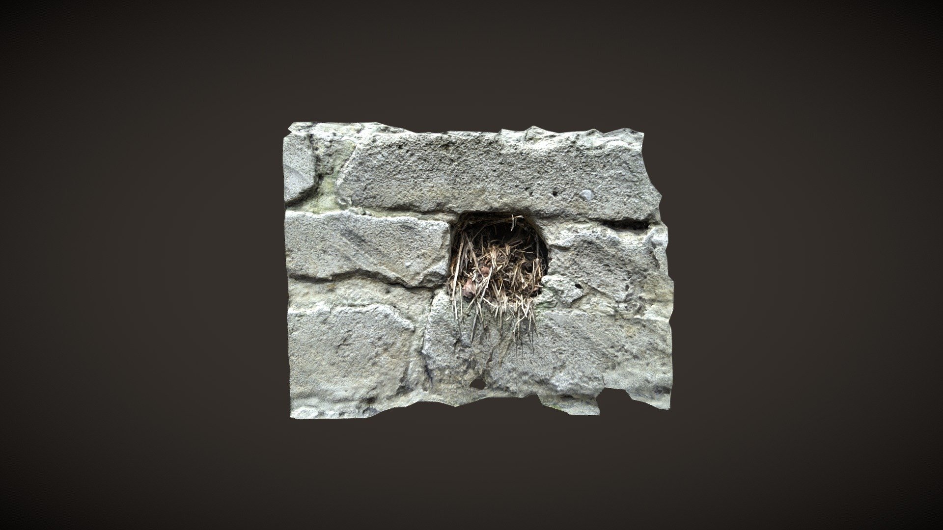 [CCO] Birds Nest - Photogrammetry