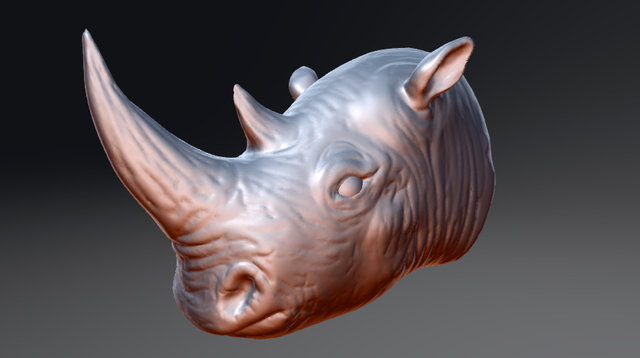 Rhino Sculpt 3D Model