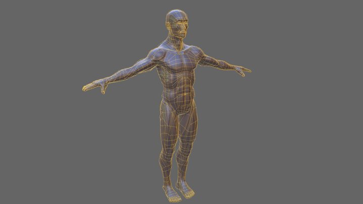 Male Model 3D Model