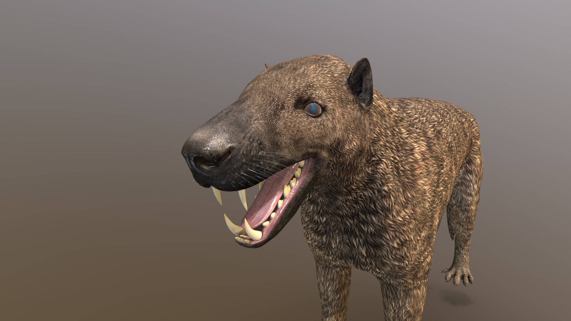 3D model Hyaenodon Horridus - This is a 3D model of the Hyaenodon Horridus. The 3D model is about a lion with its mouth open.