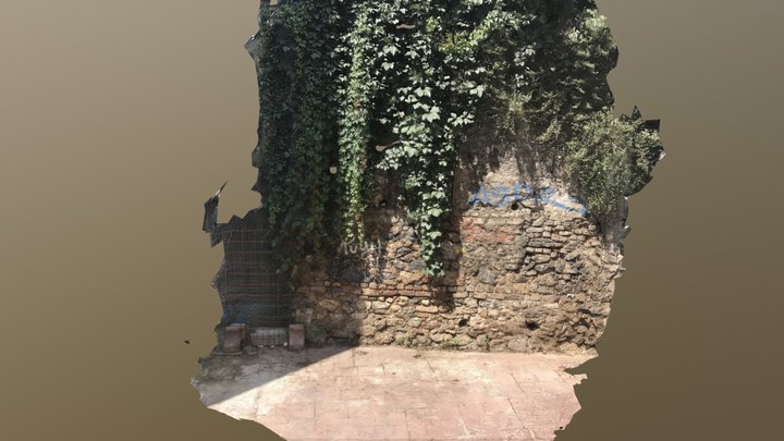ivy wall, cihangir 3D Model