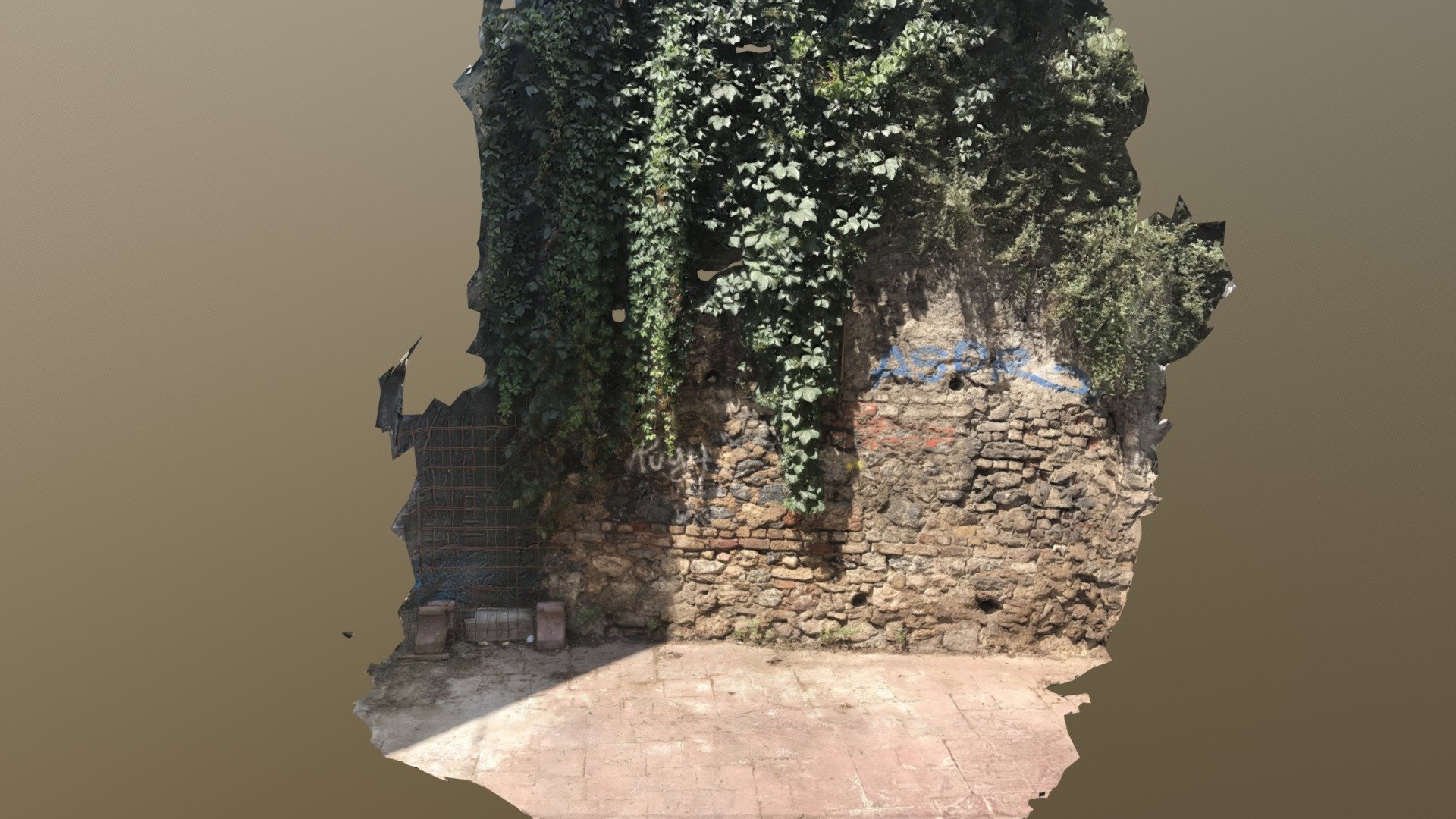 ivy wall, cihangir