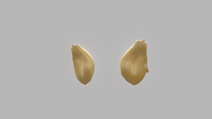 Aphmau golden Ein ears 3D Model