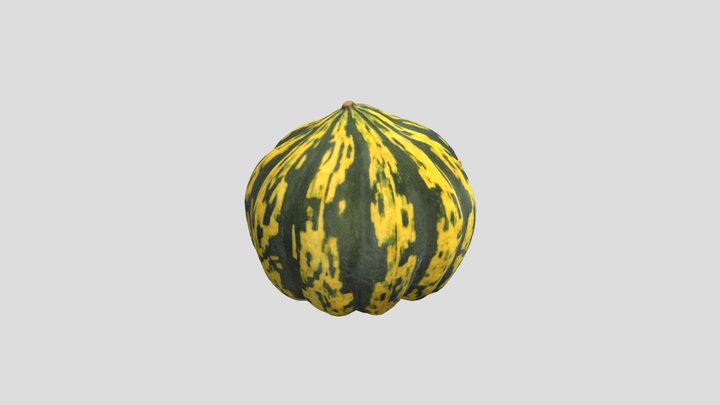 Squash #100 3D Model