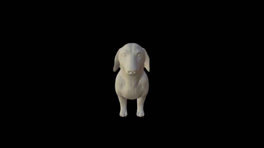Dachshund