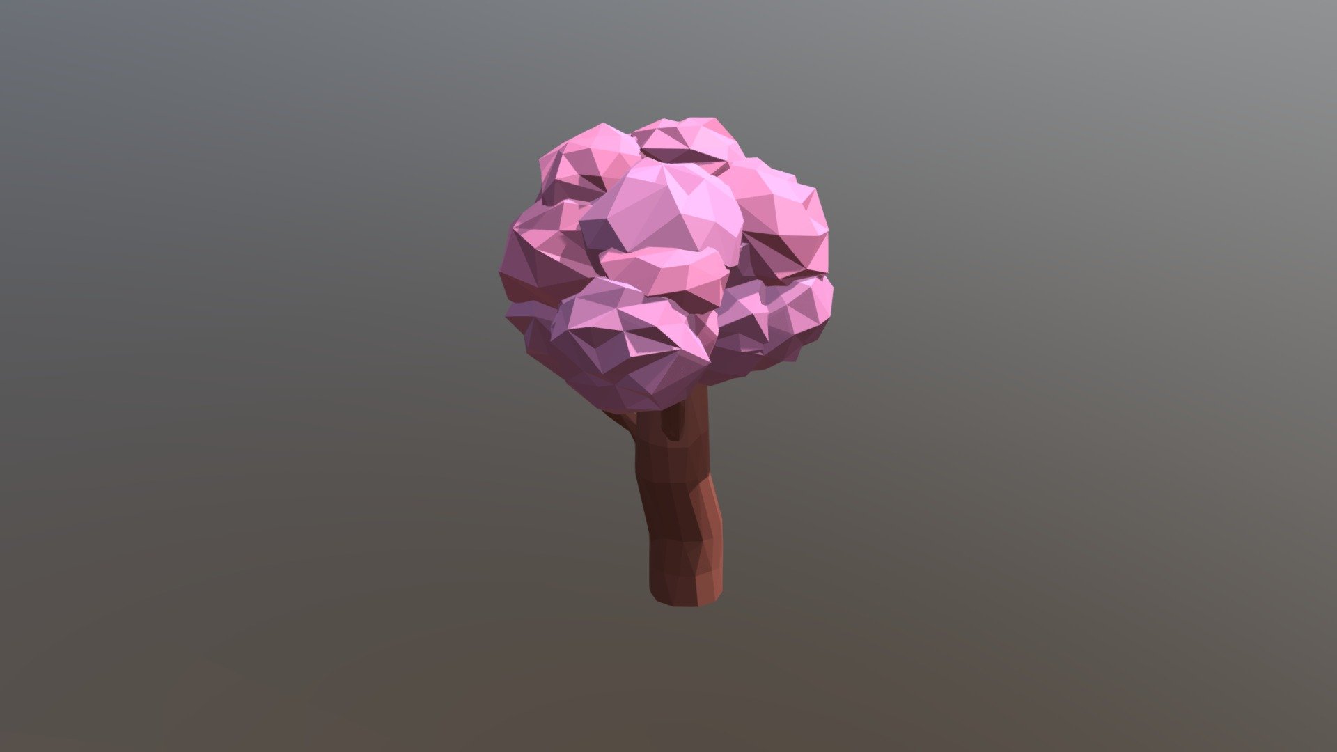 Cherry Blossom