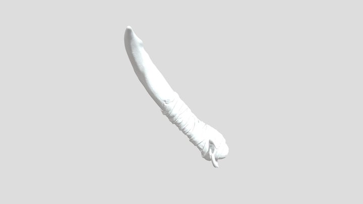 Crossed Blades 3D Model