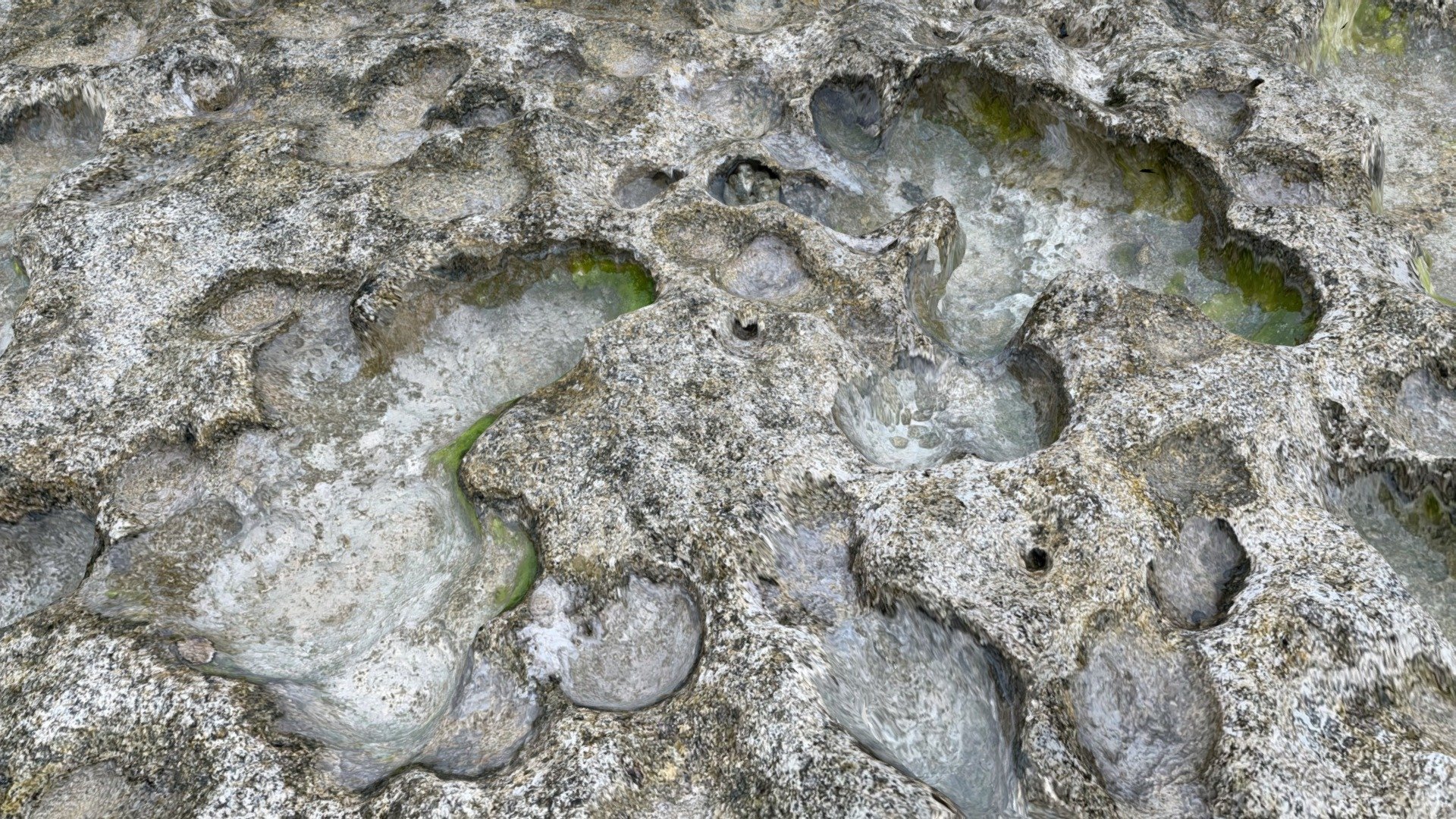 ナカバマ北側