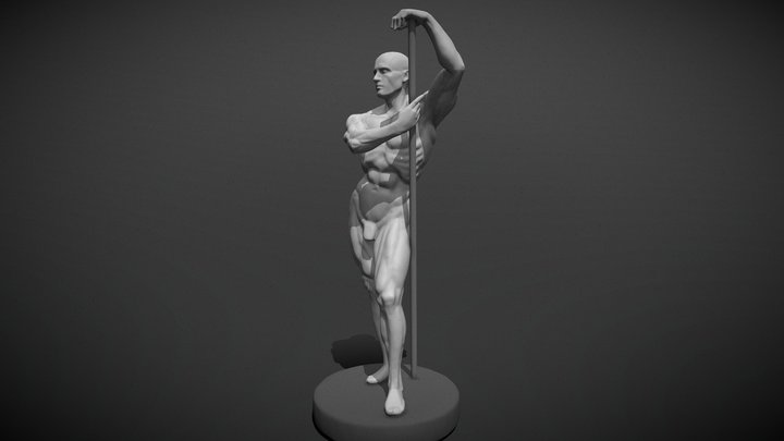 Man 3D Model