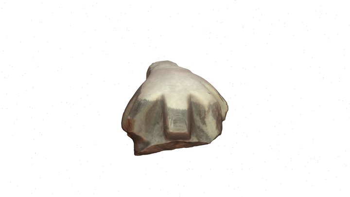 Fragmento de mano en piedra 3D Model