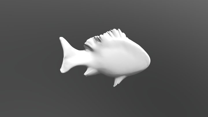 Fish Boi 3D Model