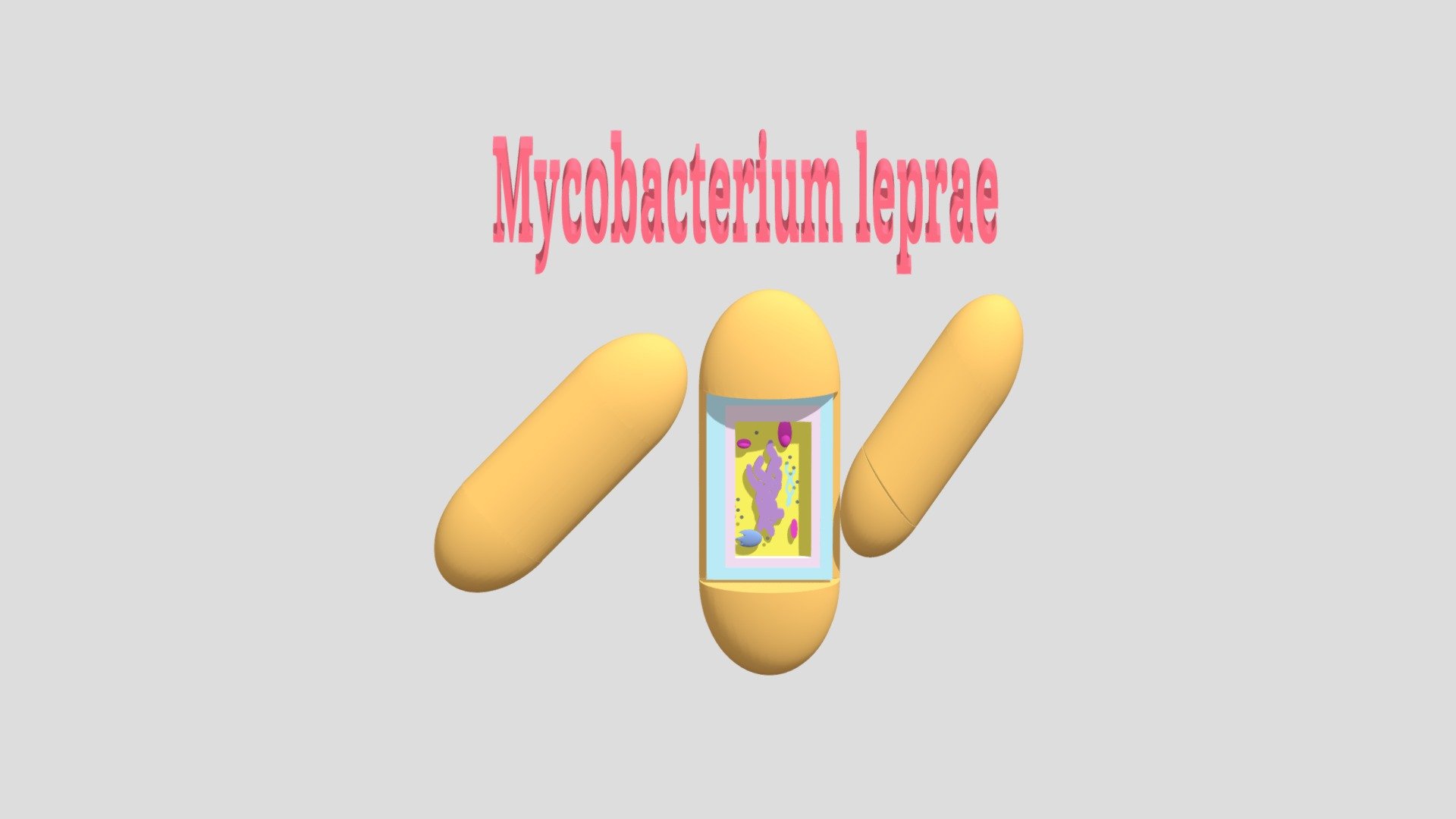 MICROUGHS _Mycobacterium Leprae_ JRP