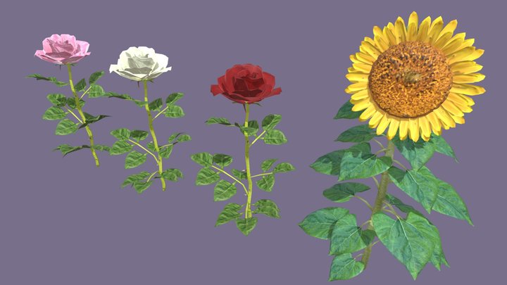 Flowers（Rose and Sunflower） 3D Model