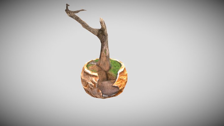 maseta 3D Model