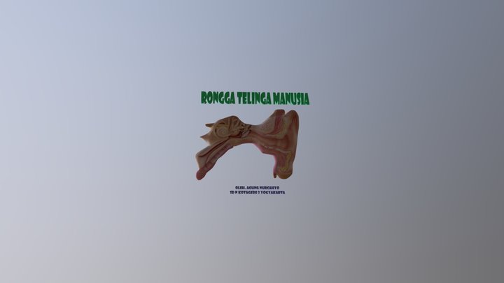 ORGAN TELINGA MANUSIA 3D Model