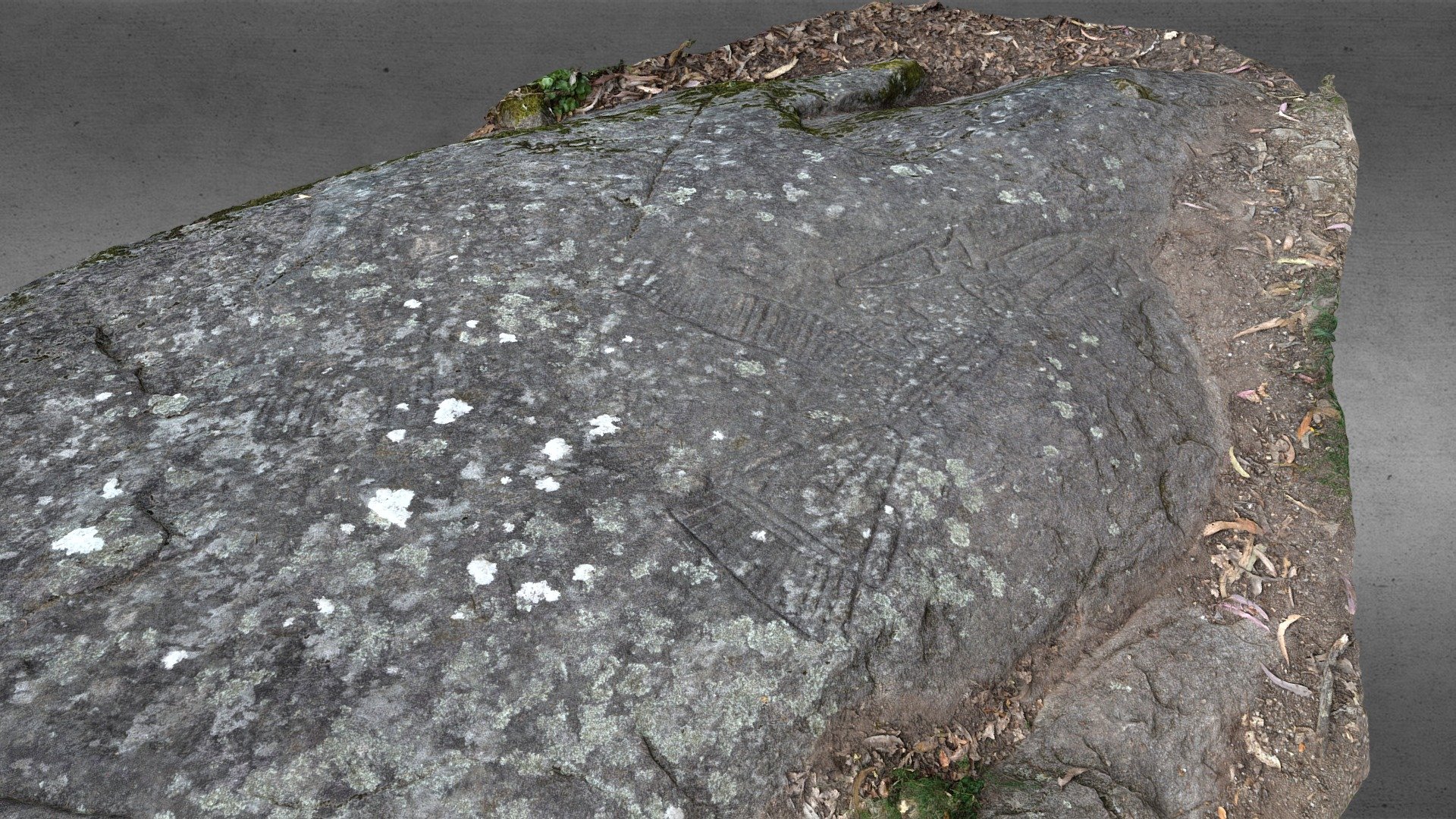 Conxo's Petroglyph /Petroglifo Castriño de Conxo