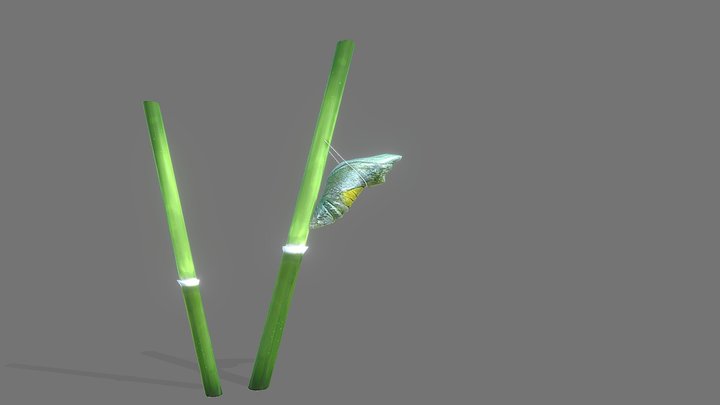 Butterfly 3D Model